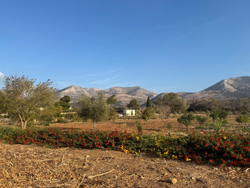 fyroa, Sagri